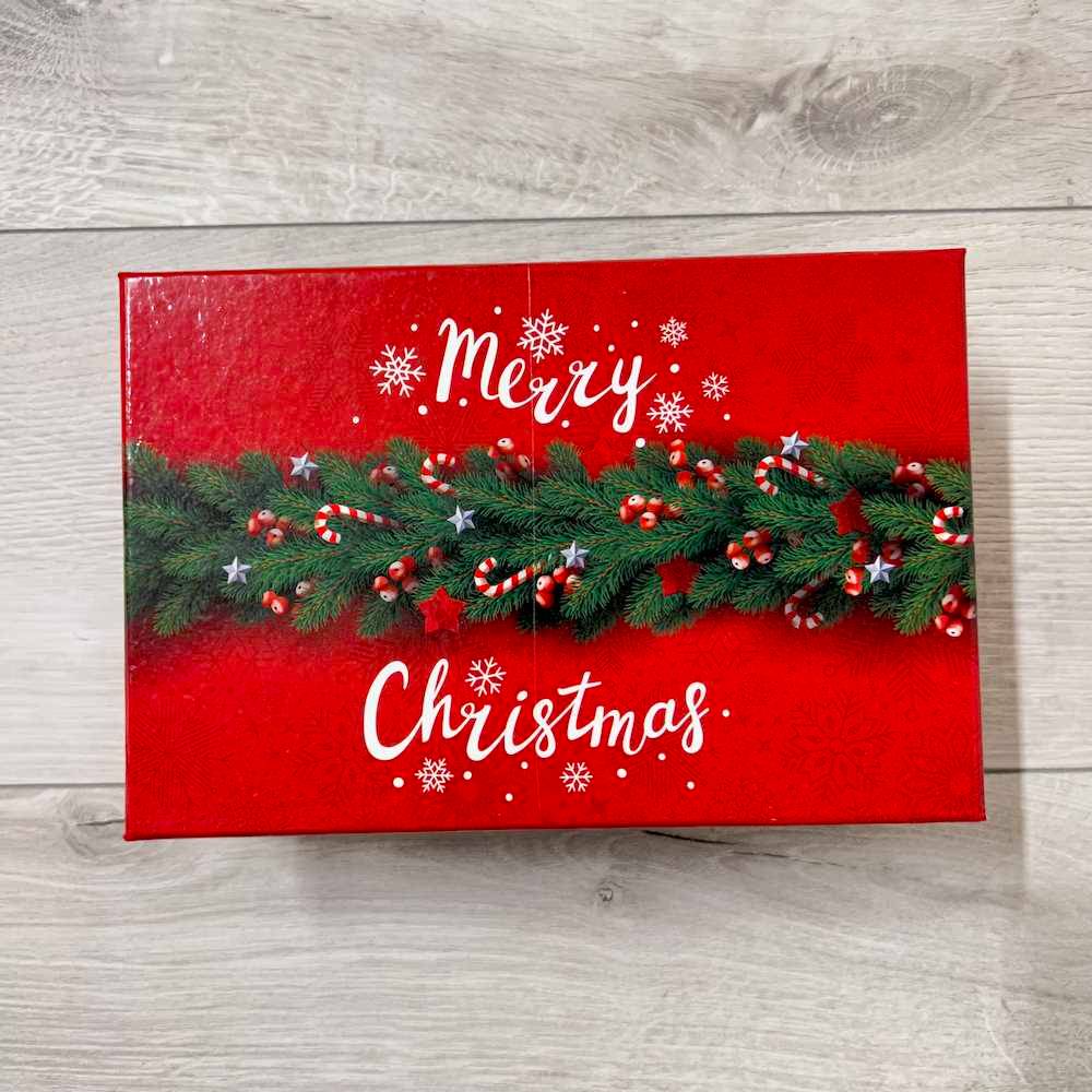 Confezione 6 palle natalizie aghi di pino diametro 8 cm con scatola