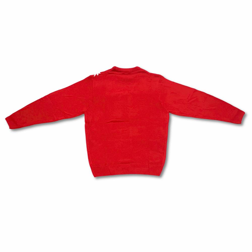 Maglione natalizio Polar bear