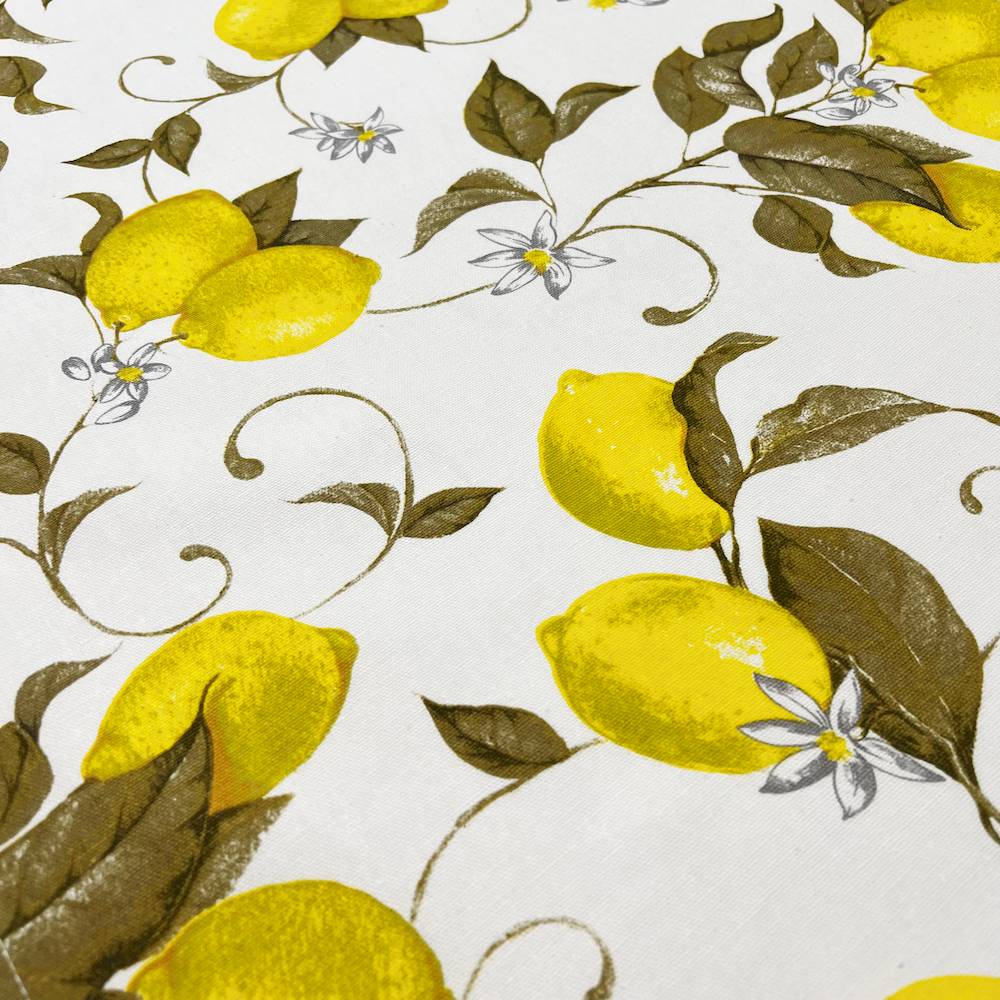 Canovaccio cucina Limoni