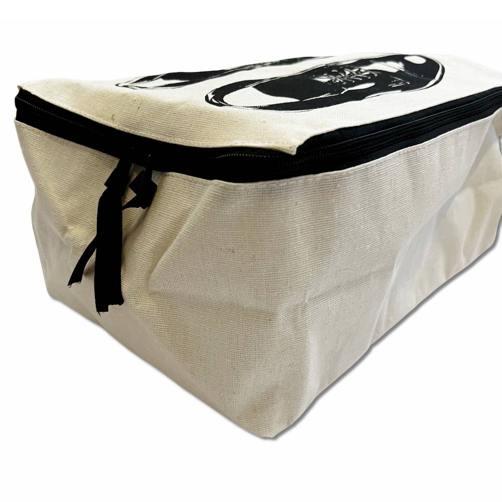Custodia porta scarpe con cerniera Scarpe eleganti