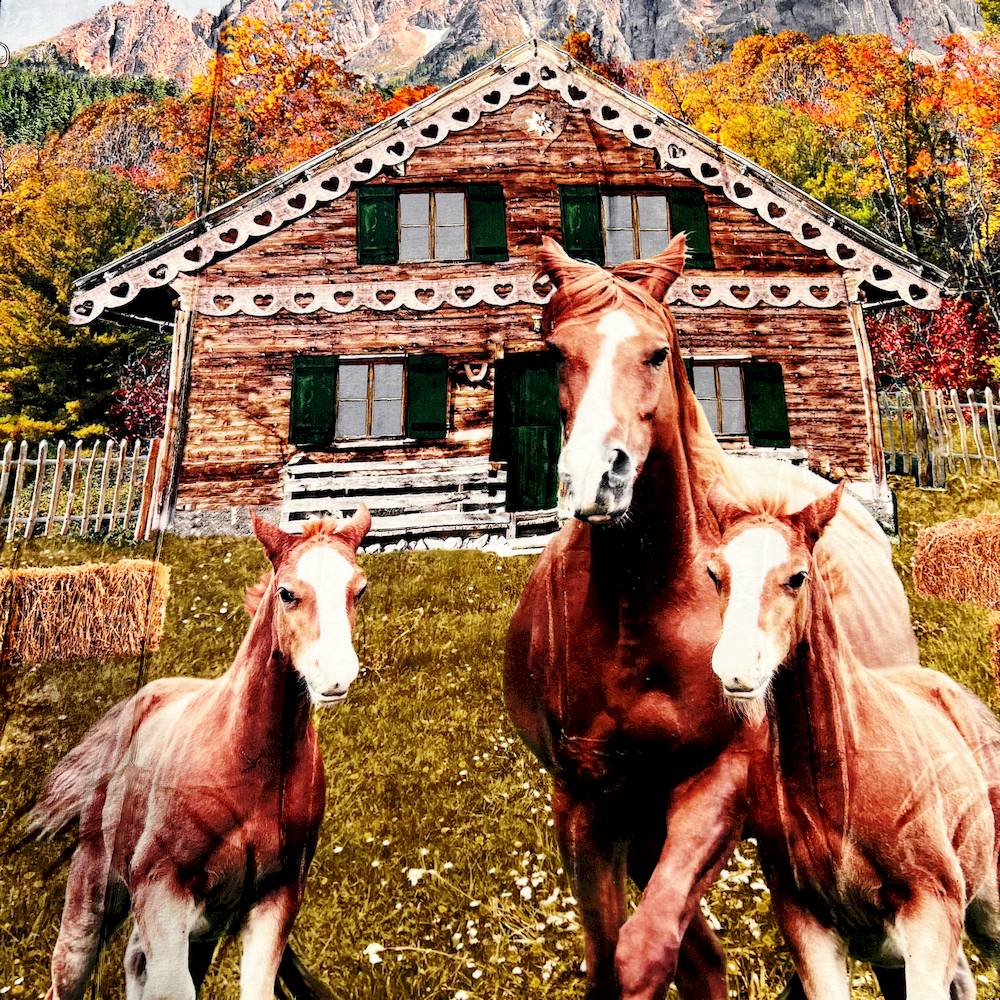 Plaid Sherpa stampa digitale Horse - Baita 130 x 160