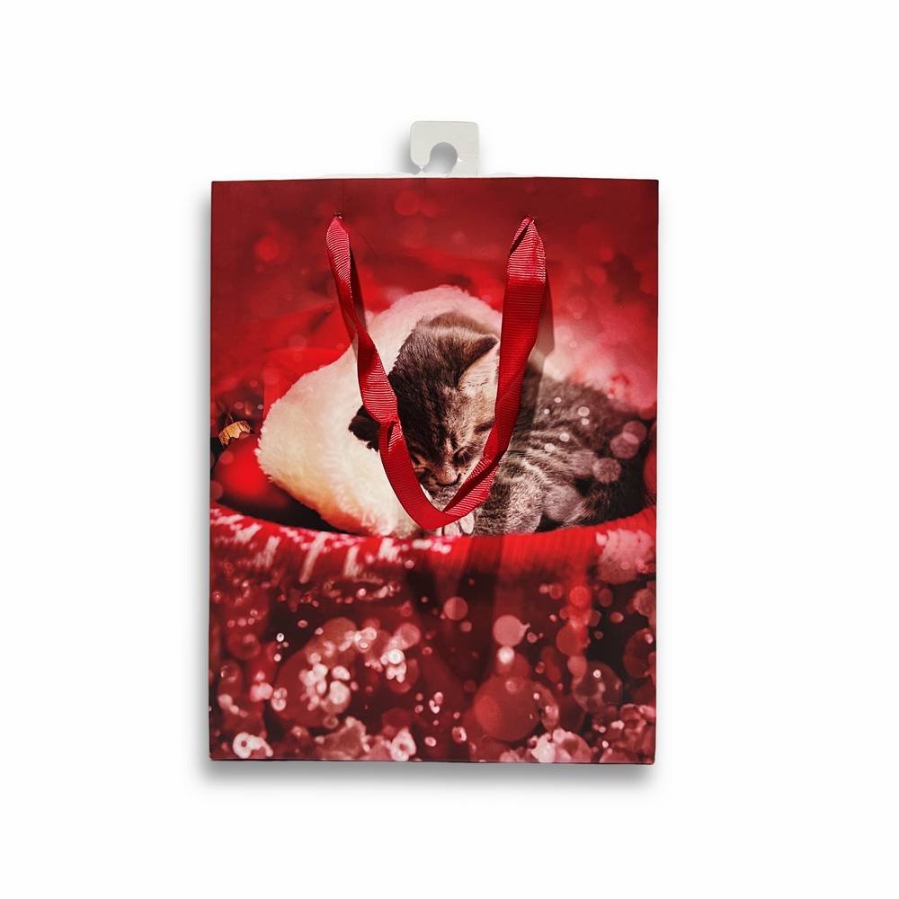 Sacchetto regalo Gattino con cuffia 18 x 10 x 22H cm