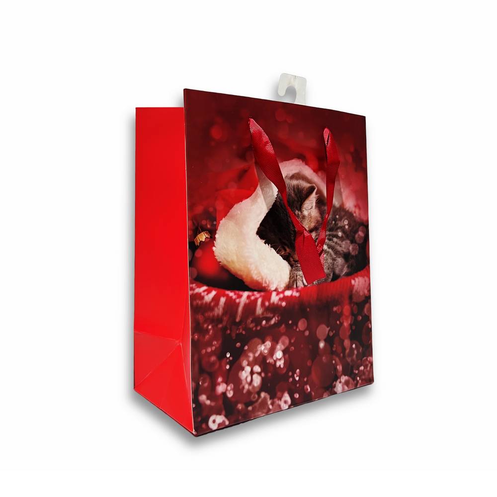 Sacchetto regalo Gattino con cuffia 18 x 10 x 22H cm