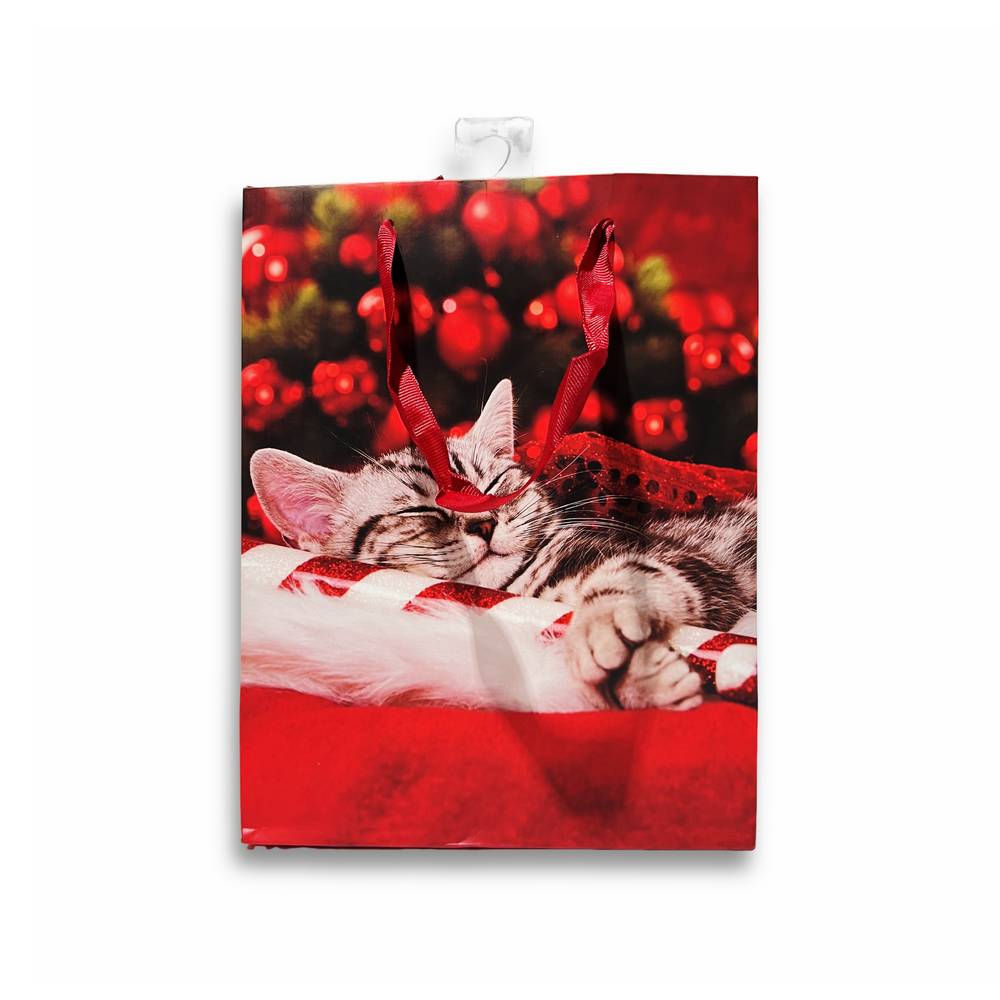 Sacchetto regalo Gattino assonnato 18 x 10 x 22H cm