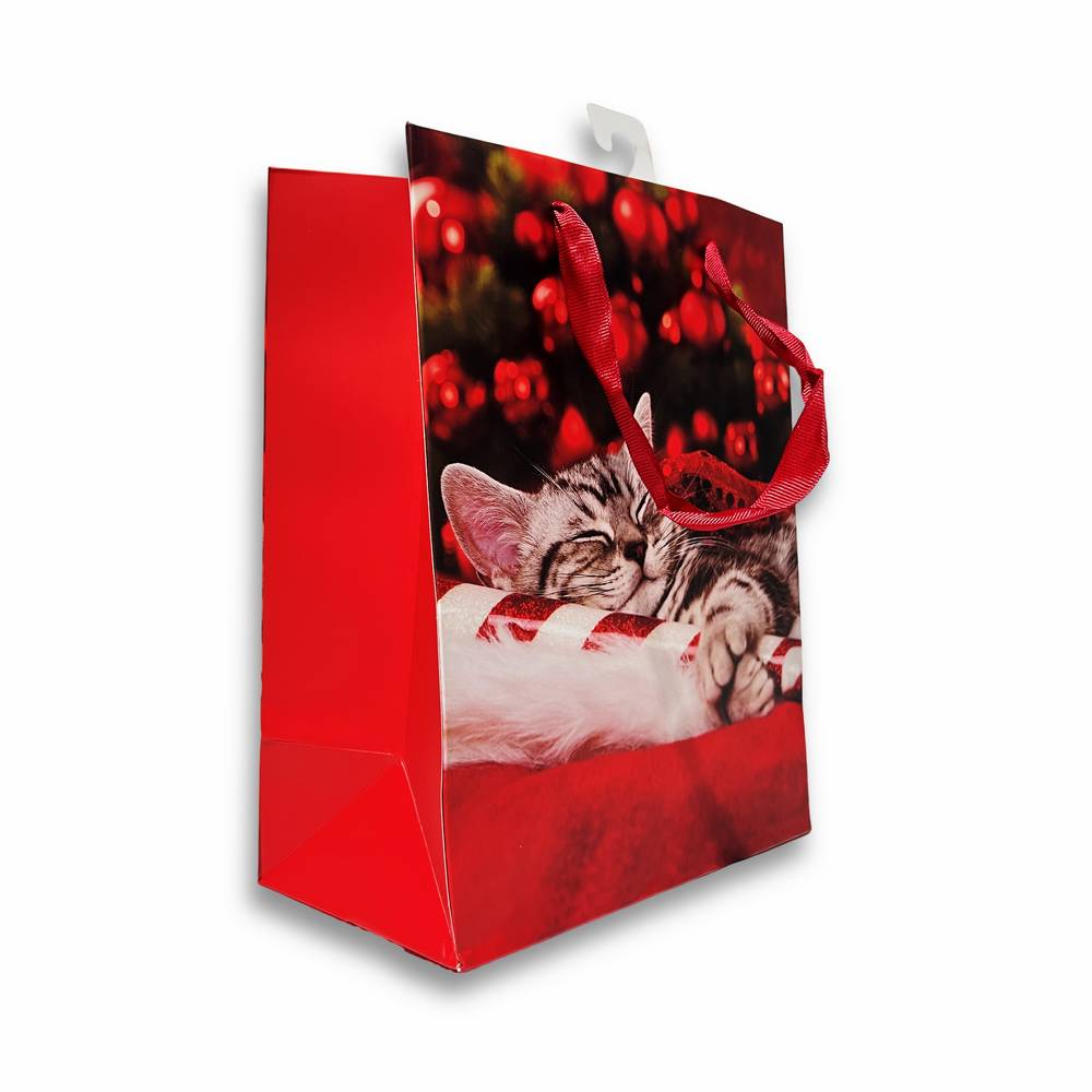 Sacchetto regalo Gattino assonnato 18 x 10 x 22H cm