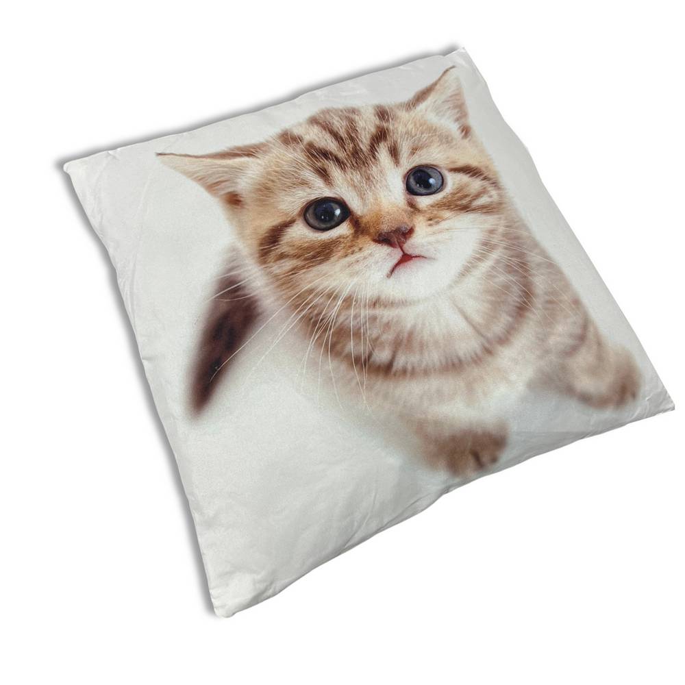 Cuscino Gattino3 40 x 40cm