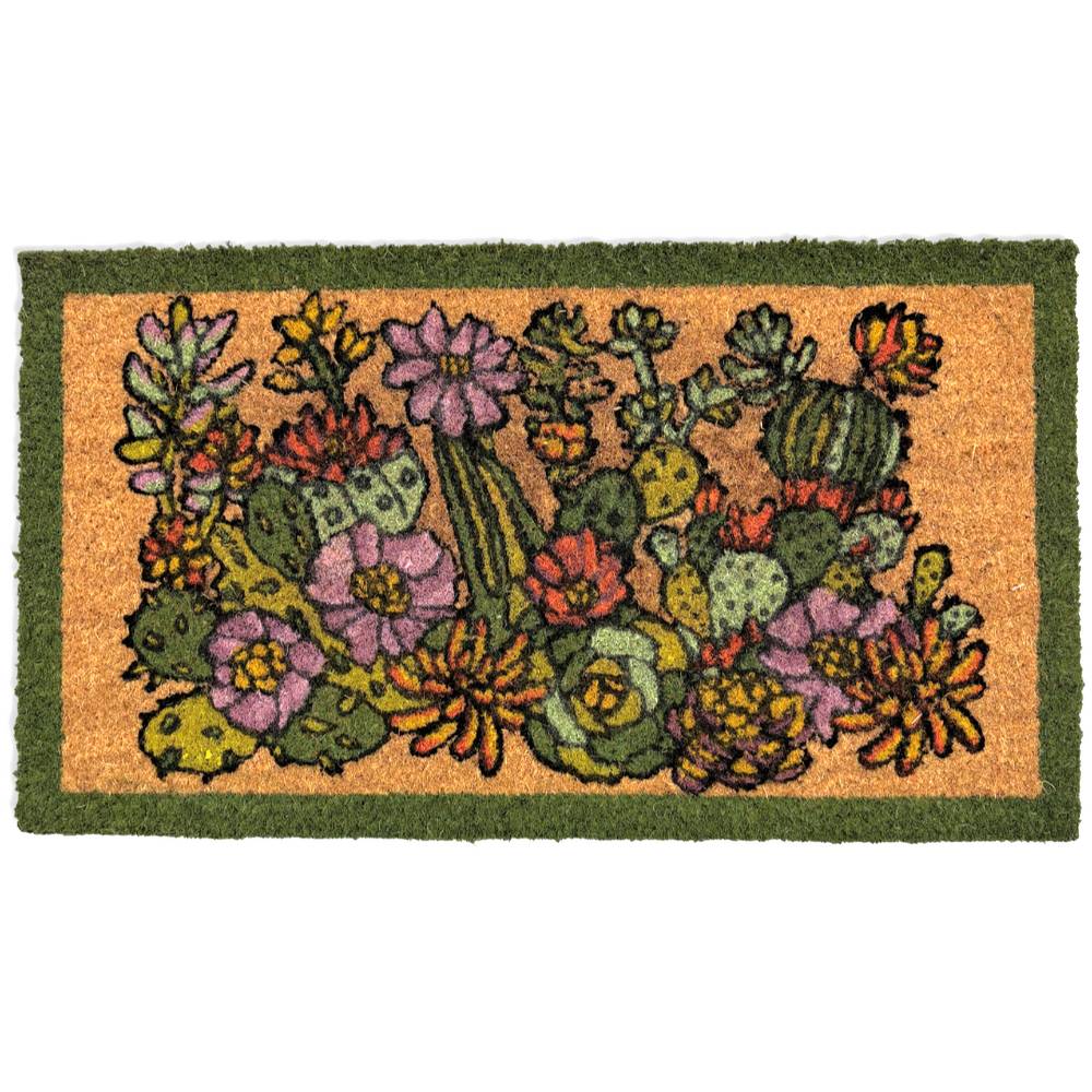 Zerbino Piante Grasse