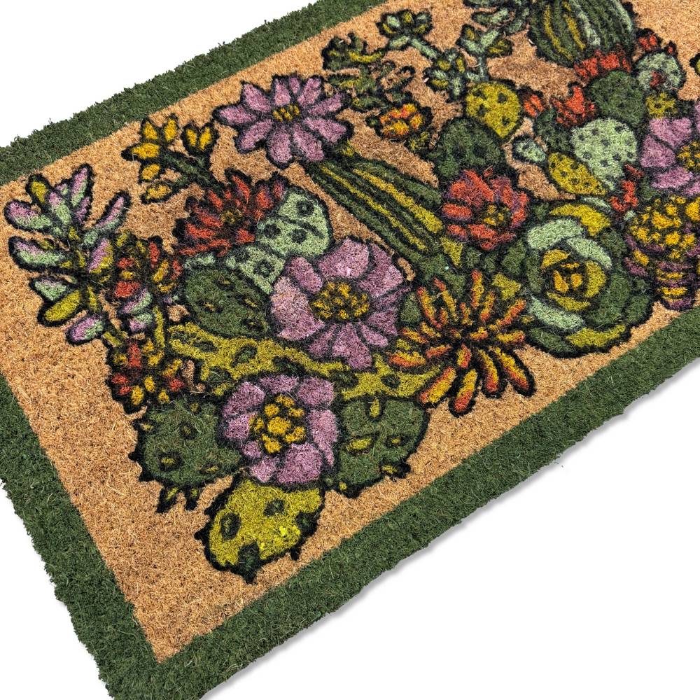 Zerbino Piante Grasse