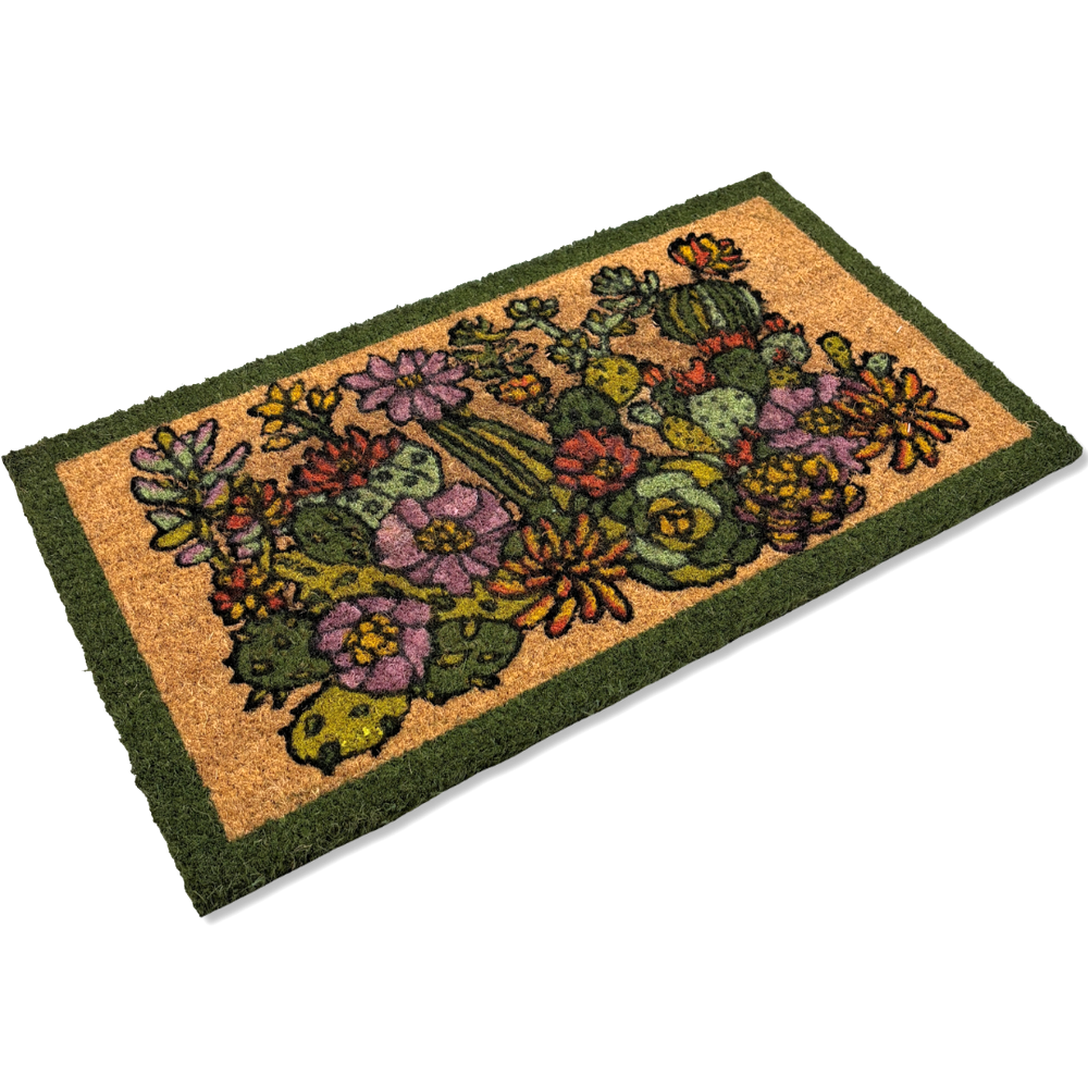 Zerbino Piante Grasse