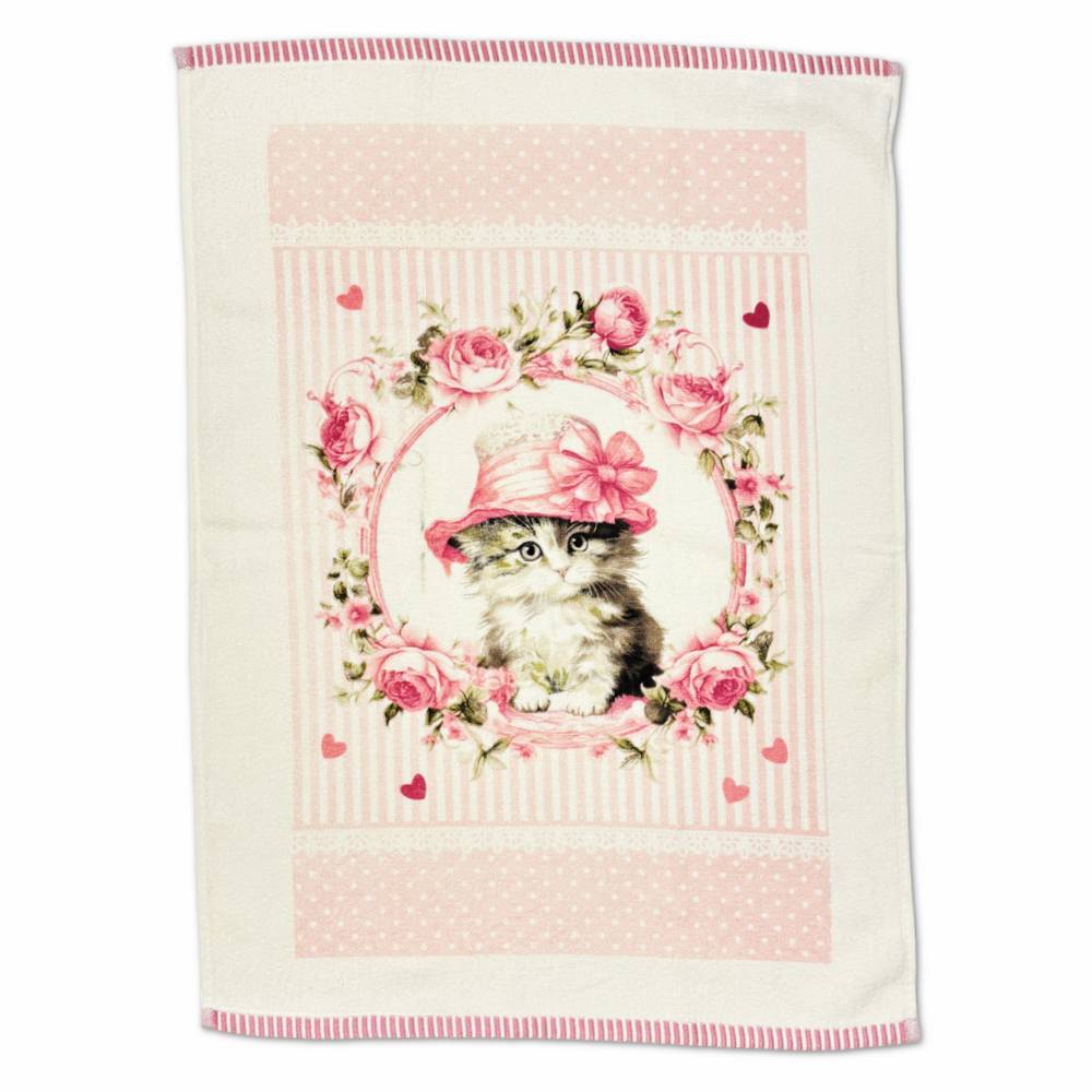 Canovaccio cucina spugna Nizza Gattino