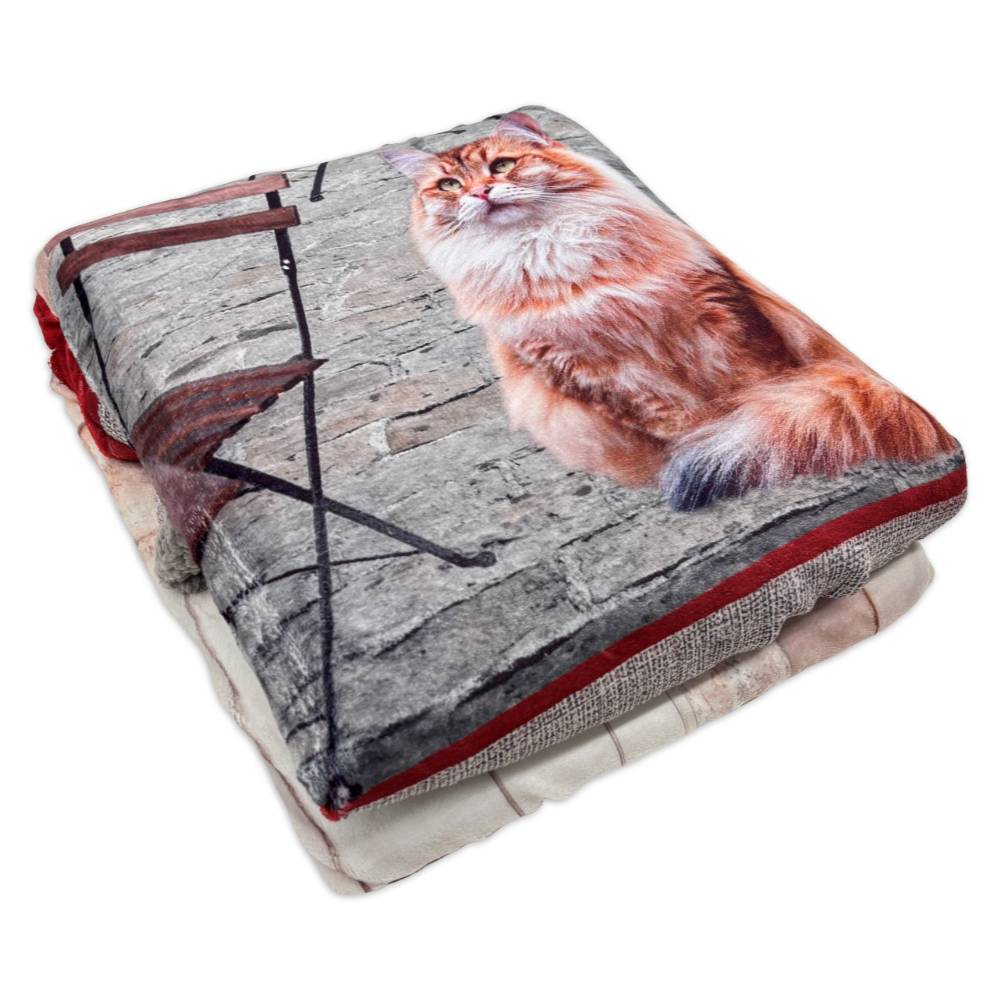 Plaid Sherpa stampa digitale Gatti Vicolo 130 x 160