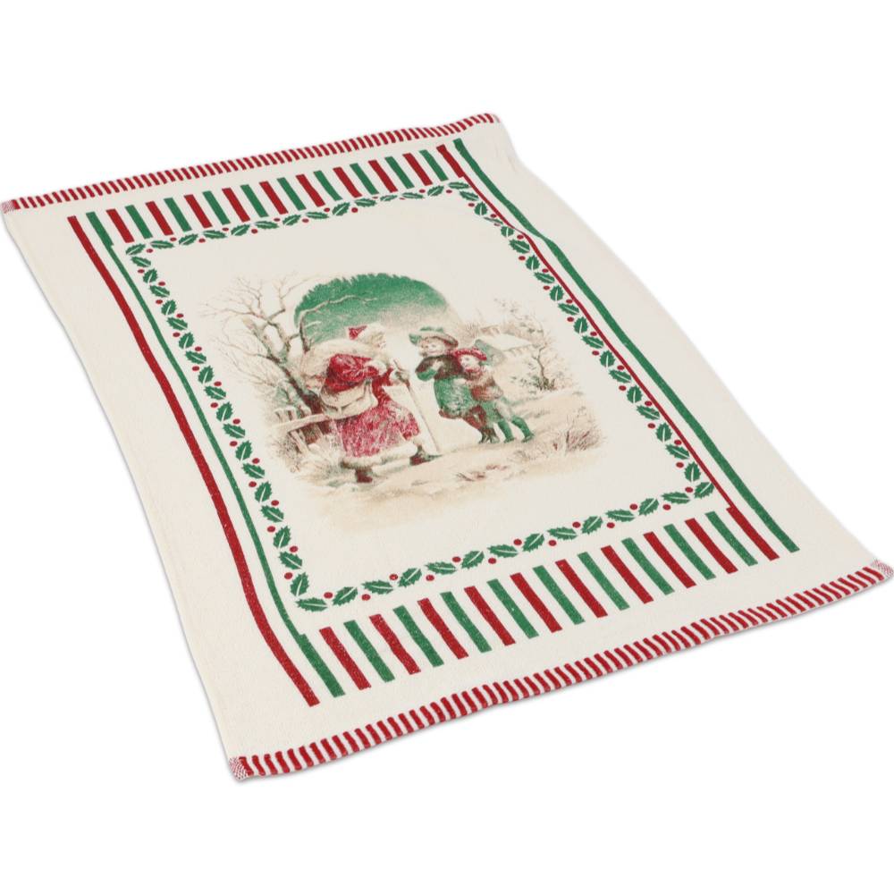 Canovaccio cucina spugna Farm XMAS Magico Incontro