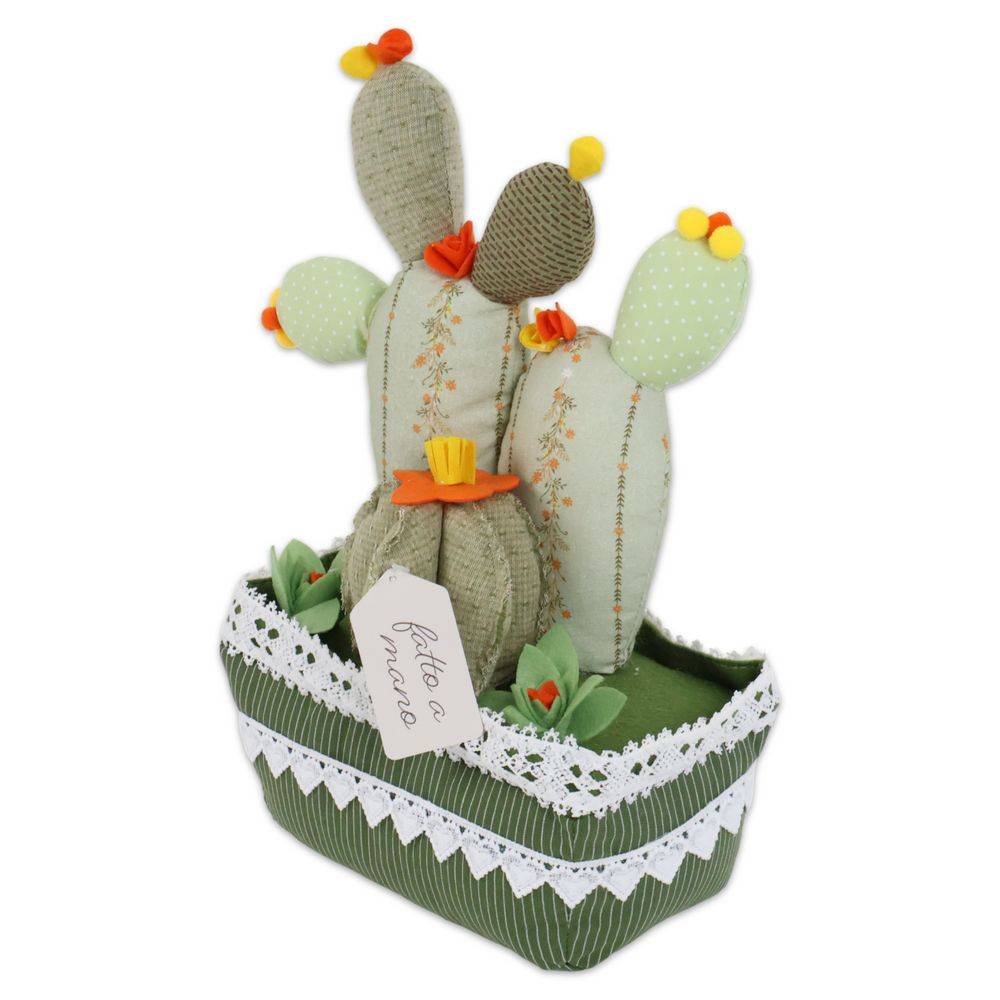 Fermaporta Cactus Oasi