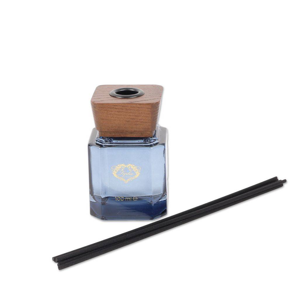 Profumatore per ambiente Desire Sage & Sea Salt 100 ml
