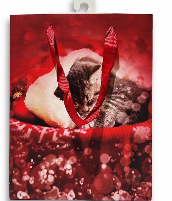 Sacchetto regalo Gattino con cuffia 18 x 10 x 22H cm